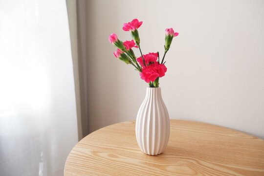 pink carnation in white vase on neutral background. Mother's day, Father's day flower gift image background.