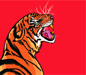 scared angry wild tiger red