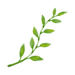 Watercolor green leaves illustration on white background.