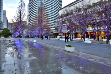 横浜美術館前歩道の紫色のライトアップ