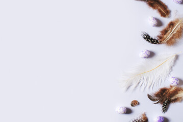 Happy easter concept with feathers and easter eggs on lilac colors background