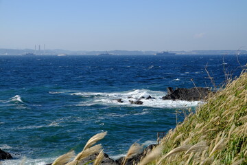 内房から望む東京湾に浮かぶ船とススキと荒波