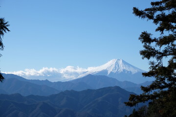 扇山から雪化粧の富士山を望む