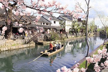 People in old-fashioned boat and sakura flowers, Kurashiki canal in Bikan district, Kurashiki city,...