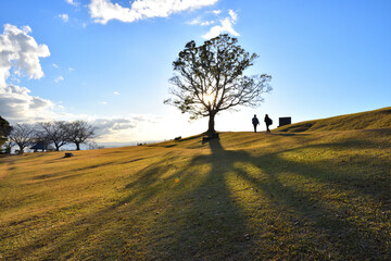 吾妻山公園頂上で西日がつくる大木の影と人のシルエット