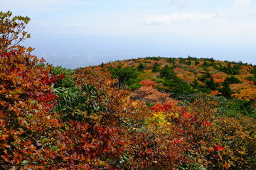 安達太良山の紅葉の山肌