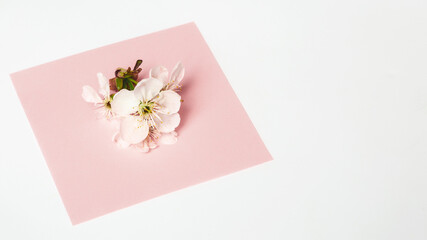 View from above spring flowers and gift box with copy space on white. Background for womens day, 8 March Valentines day, 14 february. Flat lay style, top view,  Greeting card