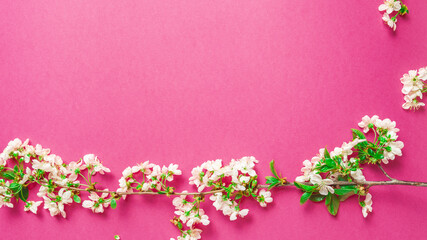 Fototapeta na wymiar Blooming apple tree, spring flowers on a pink background. Greeting cards for Valentine's Day, Women's Day and Mother's Day. View from above