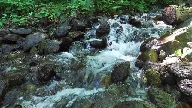 A mountain river forms a waterfall in the forest. Hike along the ecological trail in the mountains. Travel to Russia, Sochi. Green trees. A stream of clean water. High quality FullHD footage