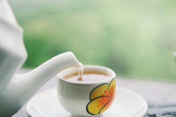 pouring hot tea to white cup in natural green leaves background 