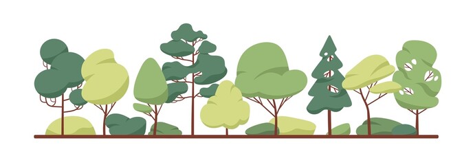 Green tree border. Forest foliage and coniferous plants in row. Mixed wood panorama with stylized fir, poplar trunks and crowns. Flat vector illustration of woodland isolated on white background