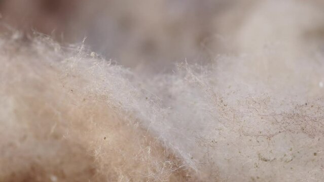 Rock wool thermal and acoustic insulation material for building