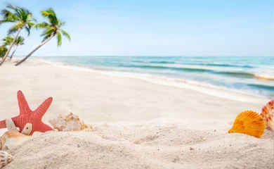 Fotobehang Abstract zandstrand met shell. wazig van tropisch strand met palmboom kalme zee en lucht. zomervakantie achtergrond concept. © jakkapan