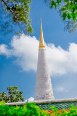 Nature of green leaf in garden at summer.Natural green leaves plants using as spring background cover page environment ecology or greenery wallpaper fresh day.