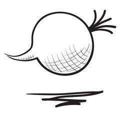 Hand drawn beet illustration