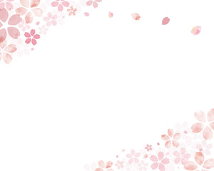 手書き　水彩　桜　背景　白背景