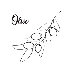 Fototapeta premium Olive Collection of Line art vintage drawing. Vector illustration.