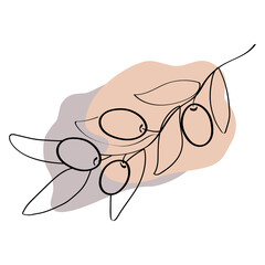 Olive Collection of Line art vintage drawing. Vector illustration.