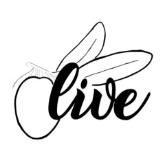 Olive Collection of Line art vintage drawing. Vector illustration.