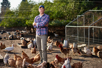 Farmer feeding chikens in a hen house © JENOCHE