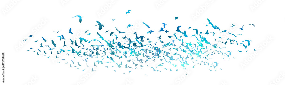 Wall mural a flock of blue birds. vector illustration