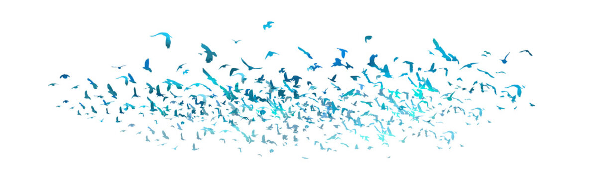 A flock of blue birds. Vector illustration