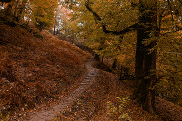 Traveler hiking in mountains clouds landscape