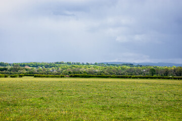 Naas Racecourse, Country Kildare, Ireland