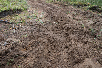 Forest motorcycle trails in the ground, with visible tyre marks.