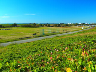 土手から見る若草芽吹く冬の江戸川土手と河川敷風景