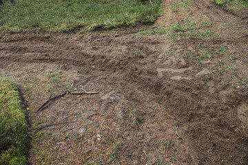 Forest motorcycle trails in the ground, with visible tyre marks.