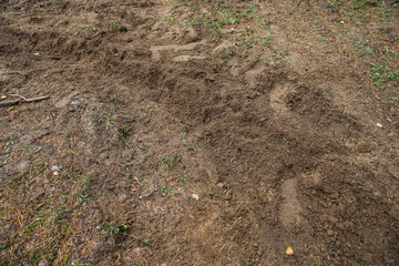 Forest motorcycle trails in the ground, with visible tyre marks.