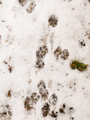 a lot of footprints imprinted on the snow