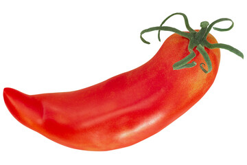 Jersey Devil heirloom pepperlike tomato  (Solanum lycopersicum fruit) isolated