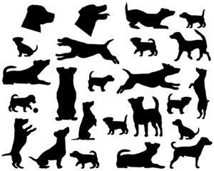 Collection of silhouettes of Jack Russell terrier dog breed