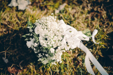 Fototapeta premium flower