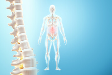 Medical poster anatomy of the human spine, the image of the bones. Arthritis, inflammation, orthopedic healthcare, fracture, cartilage, . Copy space, 3D illustration, 3D render.