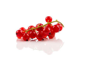 Red currant isolated