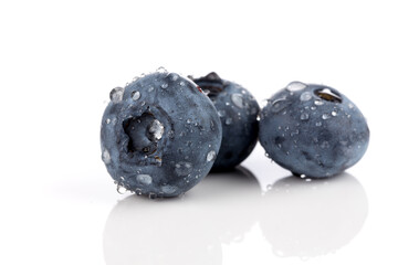 blueberries isolated close up