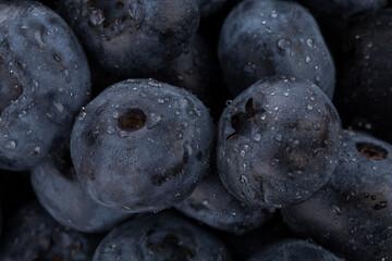 blueberries with water drops close up
