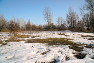 Dry grass in a spring field with the last snow in early spring against a blue sky