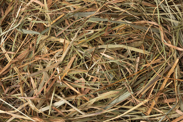Full frame top view macro shot of straw