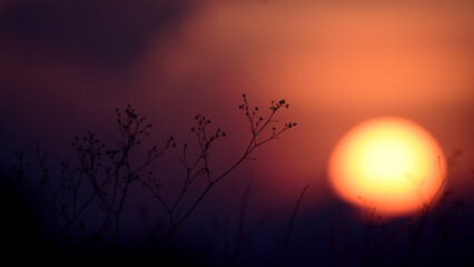 sunset in the field,twilight time concept.