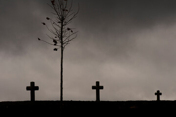 old graveyard in Belgium