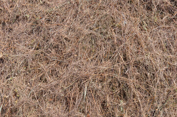 Haystack, dry straw for background or texture