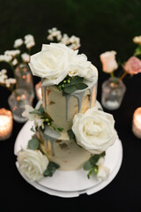 amazing wedding cake isolated on beautiful background. dessert at a wedding banquet. tiered cake
