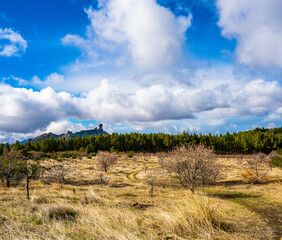 portrait of the roque nublo, sacred rock of gran canaria
 of the ancients of the canary islands with beautiful
 autochthonous pine forest vegetation and beautiful morning lights