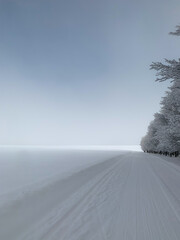 Landscape with trees