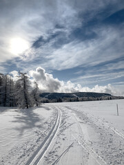 Track in the mountains