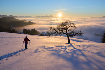 woman, snowshoeing in sunset in the Bregenzer Wald area of Vorarlberg, Austria with spectacular...